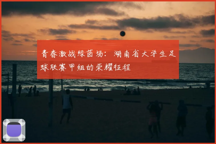 青春激战绿茵场:湖南省大学生足球联赛甲组的荣耀征程