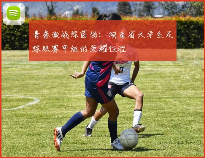 青春激战绿茵场：湖南省大学生足球联赛甲组的荣耀征程
