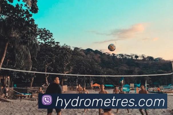 奖项证书